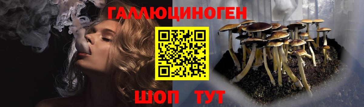 Псилоцибиновые грибы Psilocybine cubensis Магнитогорск